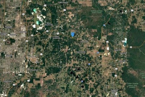 Land in Brooksville, Florida № 1879983 - photo 5