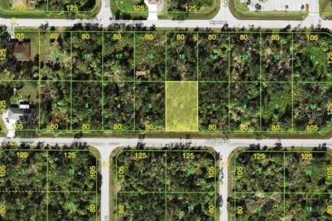 Land in Port Charlotte, Florida № 2161297