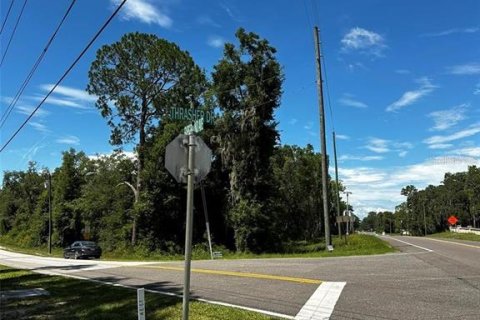 Terreno en venta en Bronson, Florida № 2092362 - foto 5
