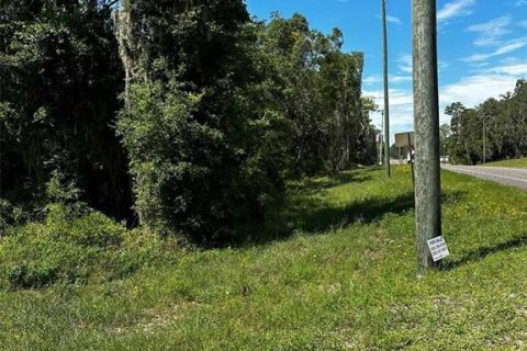 Terreno en Bronson, Florida № 2092362