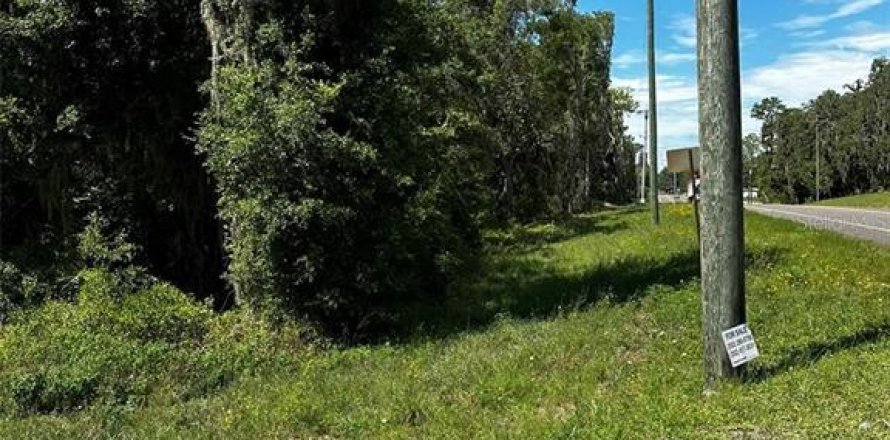 Terreno en Bronson, Florida № 2092362