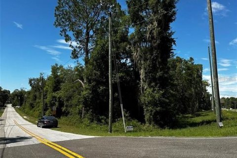 Terreno en venta en Bronson, Florida № 2092362 - foto 3
