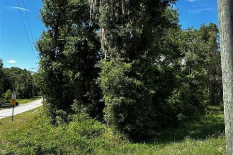 Terreno en venta en Bronson, Florida № 2092362 - foto 4