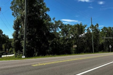 Terreno en venta en Bronson, Florida № 2092362 - foto 2