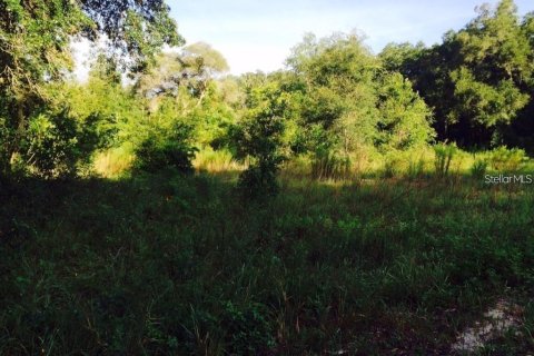 Land in Interlachen, Florida № 2165367 - photo 2