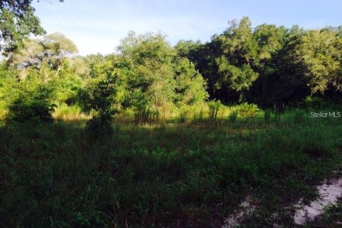 Land in Interlachen, Florida № 2165367 - photo 5