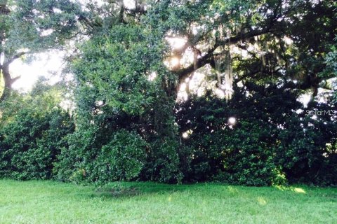 Land in Interlachen, Florida № 2165367