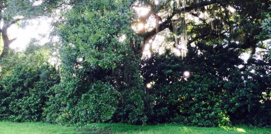 Land in Interlachen, Florida № 2165367
