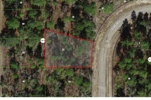 Land in Citrus Springs, Florida № 2162647 - photo 2