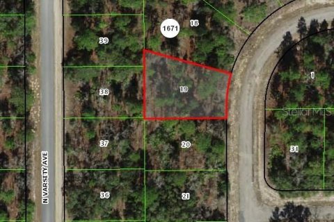Land in Citrus Springs, Florida № 2162647