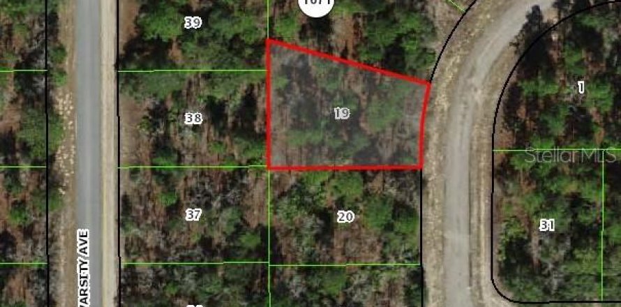 Land in Citrus Springs, Florida № 2162647