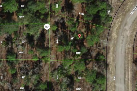 Land in Citrus Springs, Florida № 2162647 - photo 3