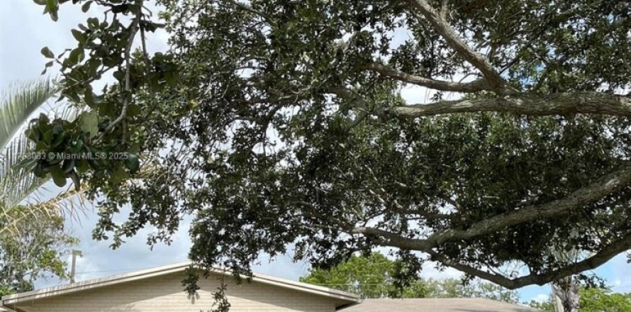 Дом в Холливуд, Флорида 3 спальни, 177.26м2 № 1959440