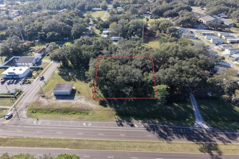 Land in Orlando, Florida № 2096707 - photo 2