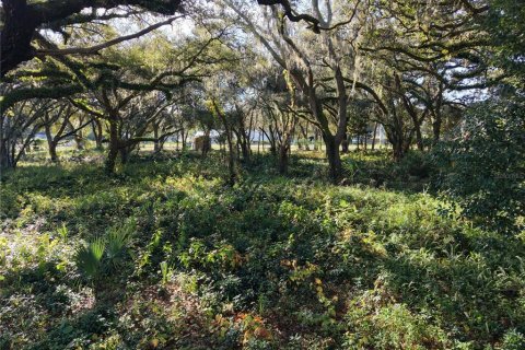 Land in Orlando, Florida № 2096707 - photo 7