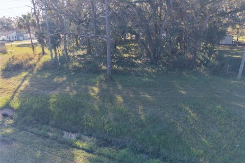 Land in Orlando, Florida № 2096707 - photo 4