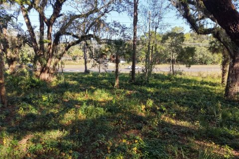 Land in Orlando, Florida № 2096707 - photo 9
