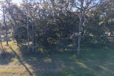 Land in Orlando, Florida № 2096707 - photo 5