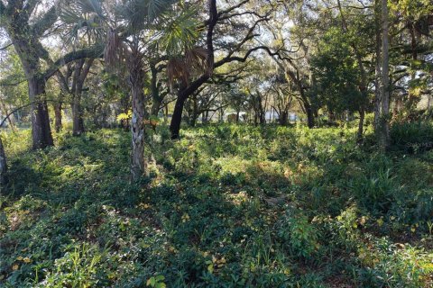 Land in Orlando, Florida № 2096707 - photo 6
