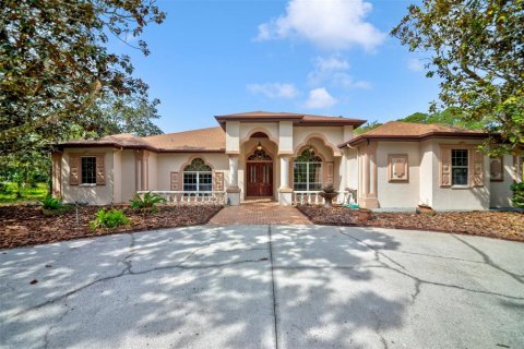 Casa en venta en Spring Hill, Florida, 4 dormitorios, 299.33 m2 № 1620800 - foto 1