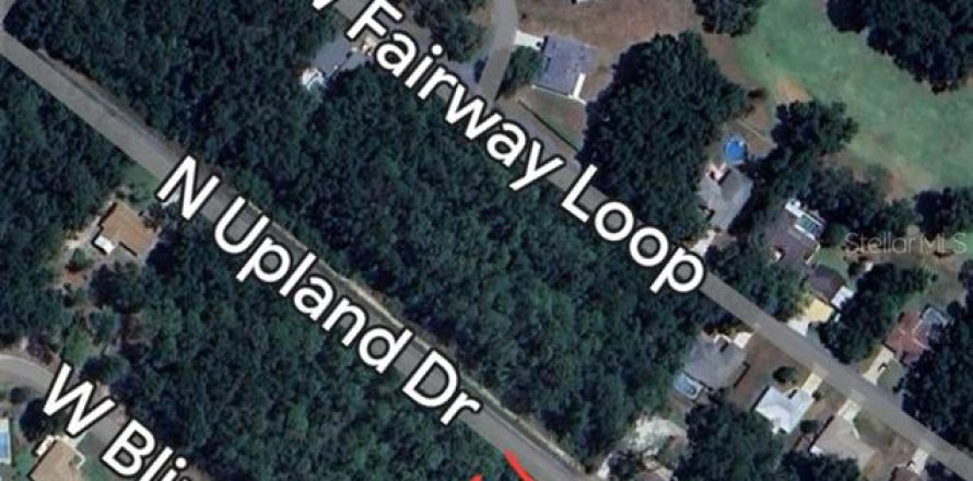 Land in Citrus Springs, Florida № 2163573