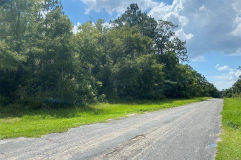 Land in Citrus Springs, Florida № 2163573 - photo 2