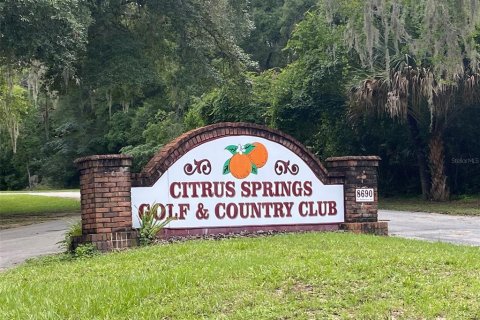 Land in Citrus Springs, Florida № 2163573 - photo 4