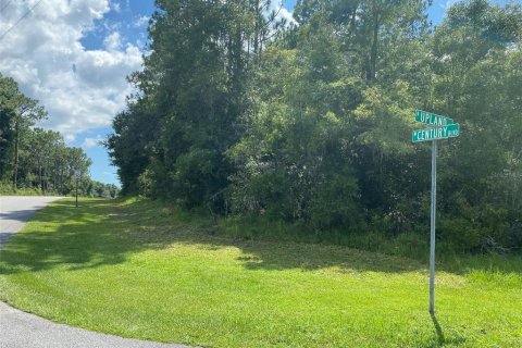 Land in Citrus Springs, Florida № 2163573 - photo 3