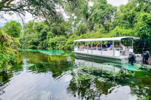 Жилой комплекс в Бруксвилл, Флорида - фото 1