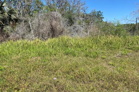 Land in De Leon Springs, Florida № 2164384
