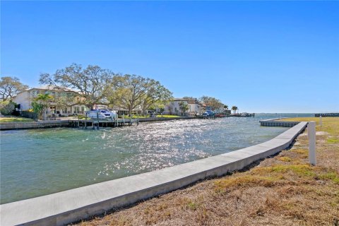 Land in Tampa, Florida № 1112148 - photo 1