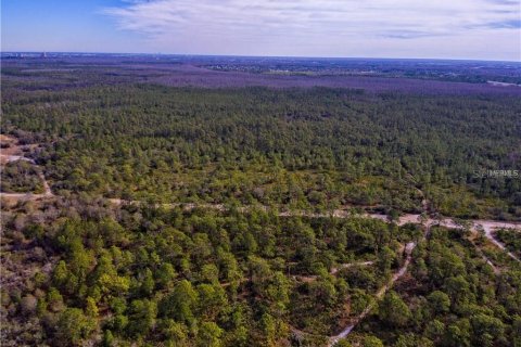 Terreno en venta en Orlando, Florida № 212915 - foto 2