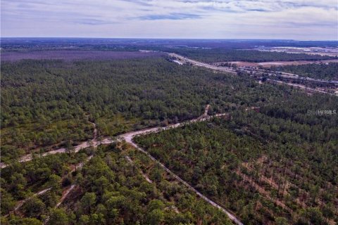 Terreno en venta en Orlando, Florida № 212915 - foto 1