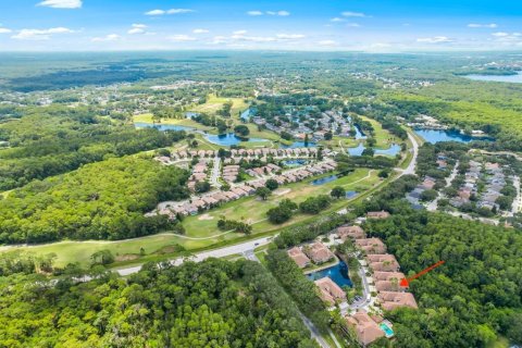 Condo in Palm Harbor, Florida, 2 bedrooms  № 1556330 - photo 4