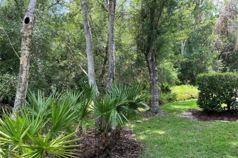 Condo in Palm Harbor, Florida, 2 bedrooms  № 1556330 - photo 10