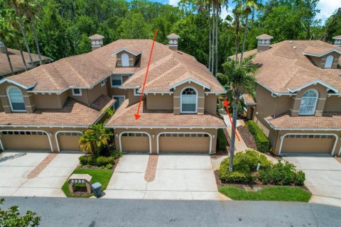 Condo in Palm Harbor, Florida, 2 bedrooms  № 1556330 - photo 1