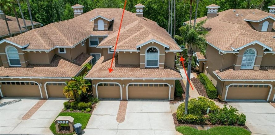 Condo in Palm Harbor, Florida, 2 bedrooms № 1556330