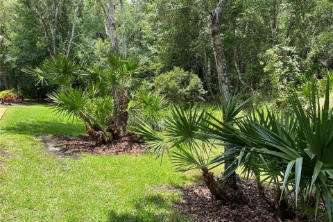 Condo in Palm Harbor, Florida, 2 bedrooms  № 1556330 - photo 11