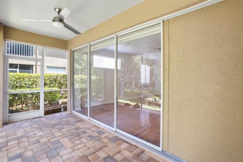 Condo in Palm Harbor, Florida, 2 bedrooms  № 1556330 - photo 8