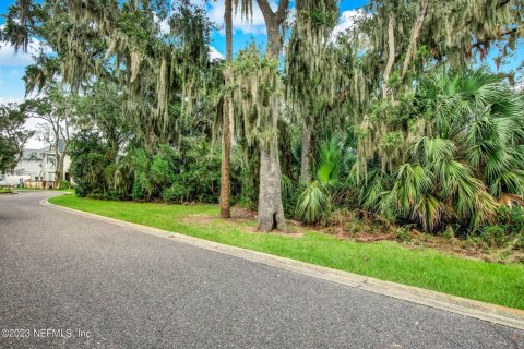 Land in Fernandina Beach, Florida № 771067 - photo 1