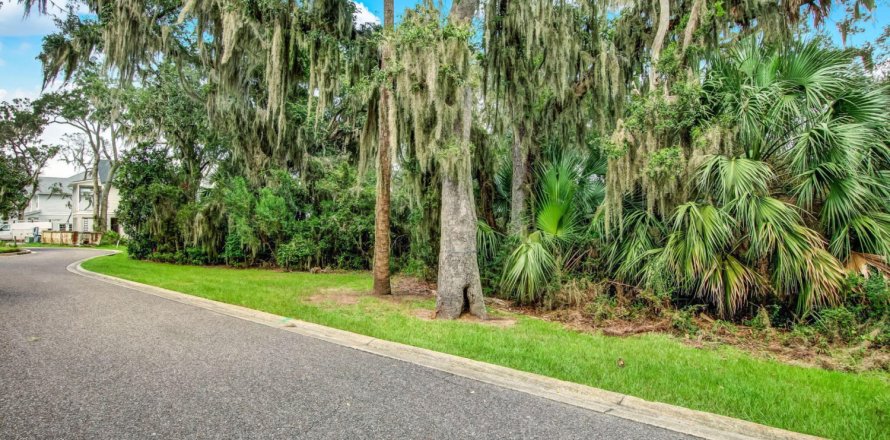 Land in Fernandina Beach, Florida № 771067