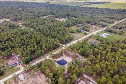 House in Dunnellon, Florida 4 bedrooms, 204.57 sq.m. № 1200054 - photo 8