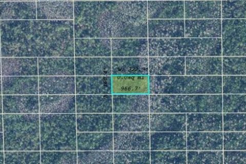 Land in Orlando, Florida № 2219213 - photo 2