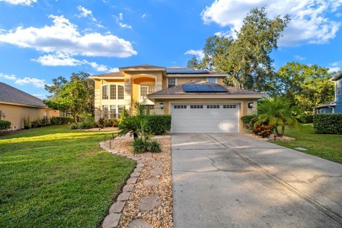Villa ou maison à Valrico, Floride 5 chambres, 260.87 m2 № 2429077