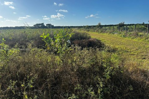 Commercial property in Homestead, Florida № 1811116 - photo 22