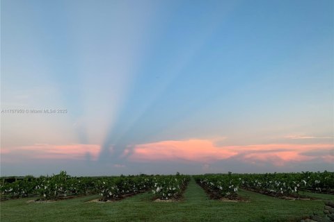 Commercial property in Homestead, Florida № 1811116 - photo 9