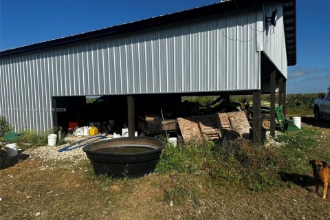 Commercial property in Homestead, Florida № 1811116 - photo 16