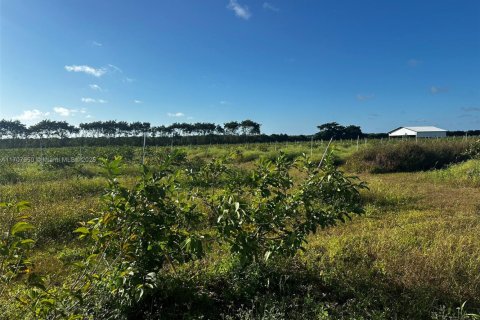 Commercial property in Homestead, Florida № 1811116 - photo 10