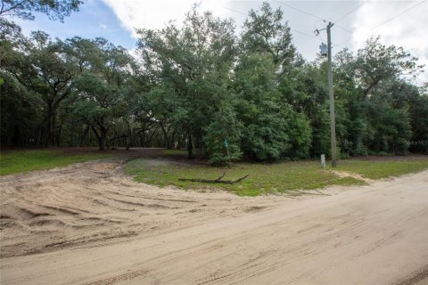 Terrain à Keystone Heights, Floride № 2355879