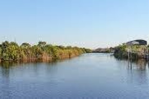 Land in Port Charlotte, Florida № 2166407 - photo 5